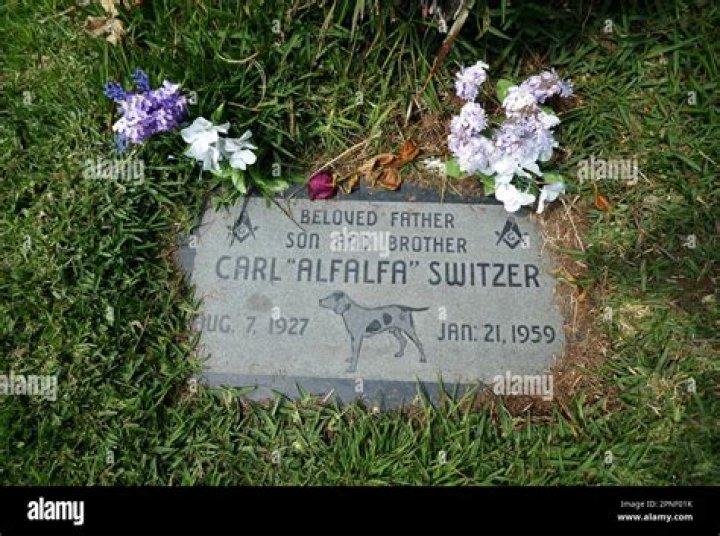 Carl ‘Alfalfa’ Switzer Net Worth, Income, Salary, Earnings, Biography