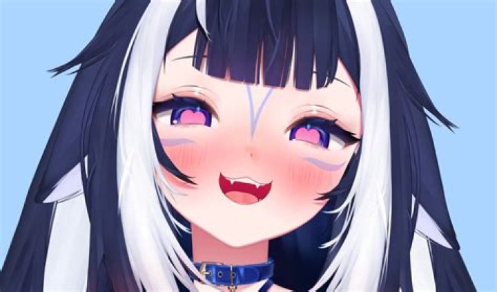 Did Shylily Reveal Her Face At Twitchcon? Meet The Twitch Star