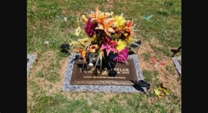 Shelly Harrington Sanders Death, Kennedy Cymone Mom Died In Robbery